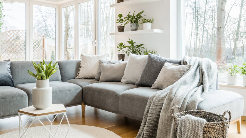 4 Resolutions For A Healthier, Happier Home in 2019
