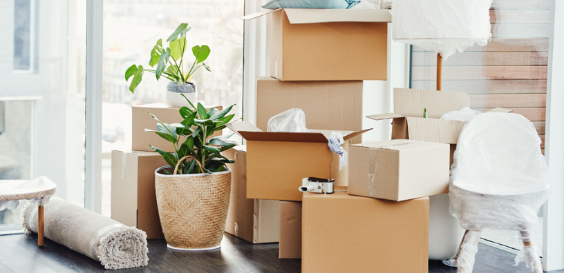 A room full of boxes and covered furniture.