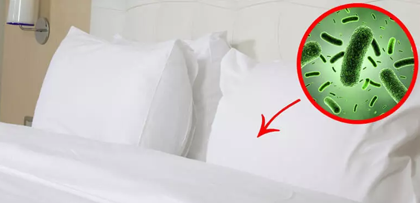 A couple pillows with a magnified graphic of allergens found in them.