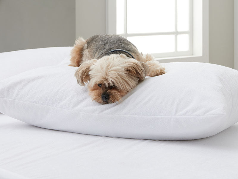 A cute dog resting comfortably on a pillow, radiating a sense of calm and relaxation.